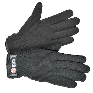 Winter Polar lining for dry gloves